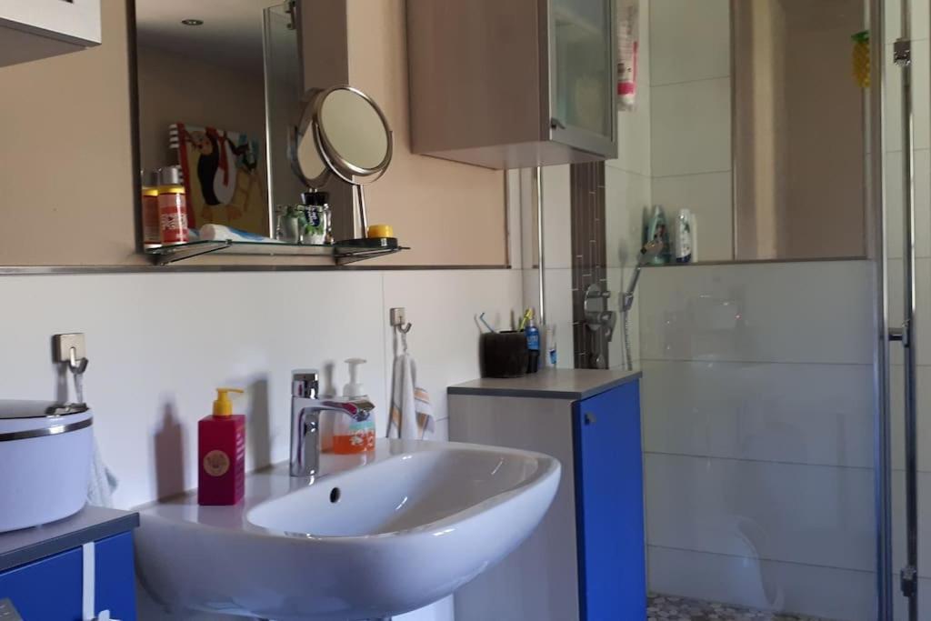 Private Room In Our Home With Free Vvo Ticket & Cats Pirna Exterior photo